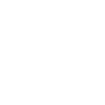 vebs logo