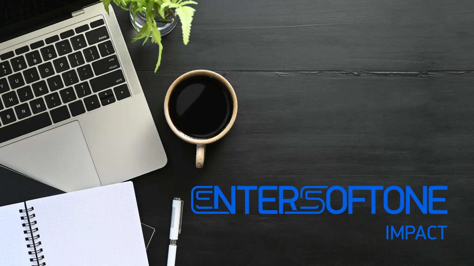 Entersoftone-image